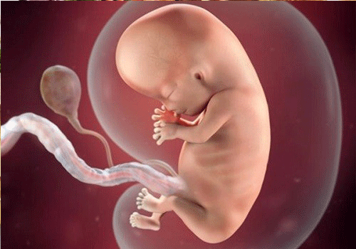 Phá thai 14 tuần có nguy hiểm không?