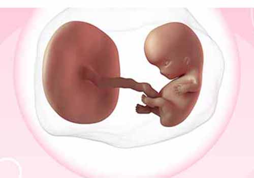 Các phương pháp phá thai 4 tuần tuổi an toàn cho mẹ bầu