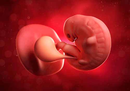 Phá thai 6 tuần bằng cách nào an toàn? Ở đâu uy tín