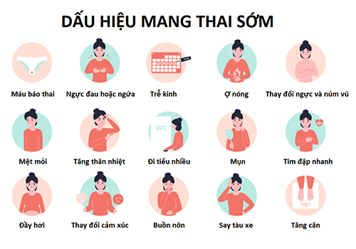 Tổng hợp 10 dấu hiệu mang thai sớm có thể tự nhận biết ngay