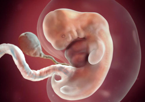 Bác sĩ chia sẻ phá thai 5 tuần tuổi có an toàn không?