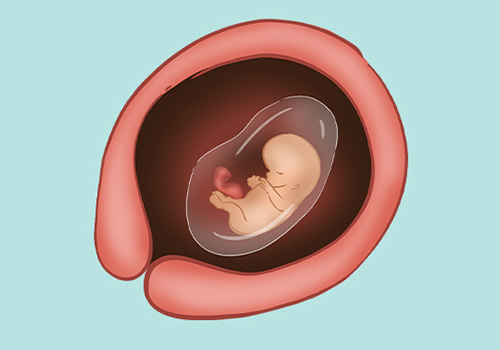 Phá thai 10 tuần có nguy hiểm không? Chi phí phá thai 10 tuần