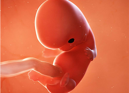 Địa chỉ tư vấn bỏ thai nào uy tín tại Đắk Lắk?