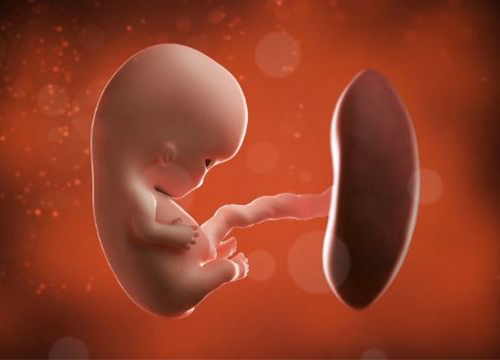 Các phương pháp phá thai 13 tuần phổ biến hiện nay