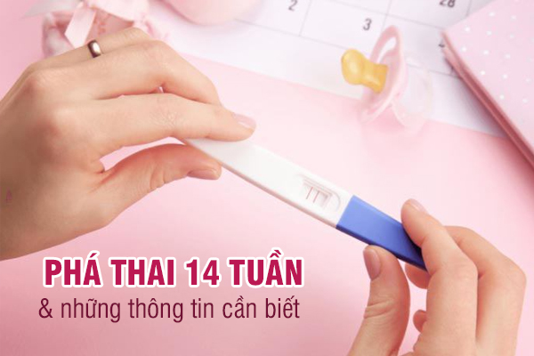 Phá thai 14 tuần – Thông tin đầy đủ cho thai phụ
